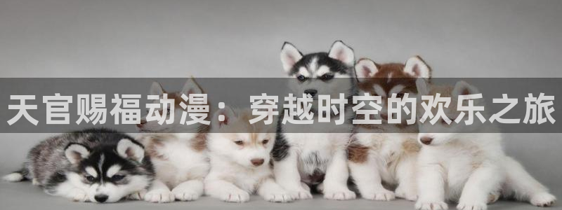 58动漫官网：天官赐福动漫：穿越时空的欢乐之旅