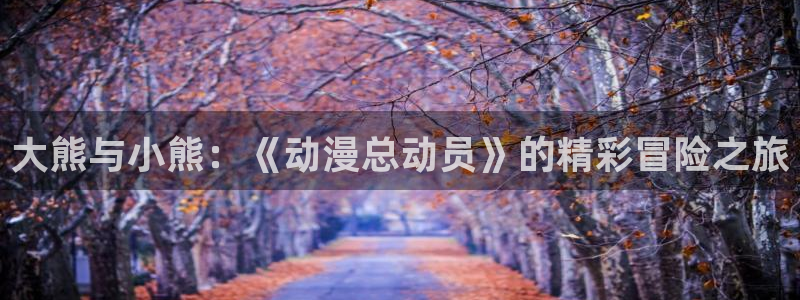 58动漫在线观看：大熊与小熊：《动漫总动员》的精彩冒险之旅