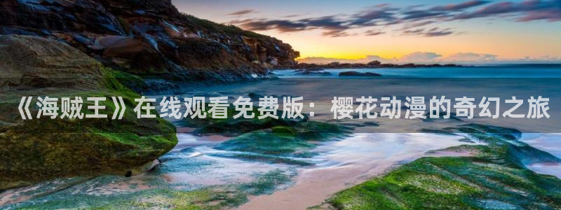 58动漫网页版：《海贼王》在线观看免费版：樱花动漫的奇幻之旅