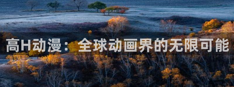58动漫网在线观看：高H动漫：全球动画界的无限可能