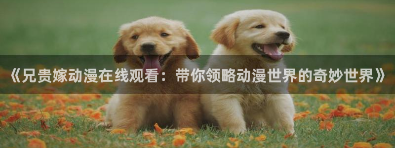 美妙天堂58动漫网：《兄贵嫁动漫在线观看：带你领略动漫世界的奇妙世界》